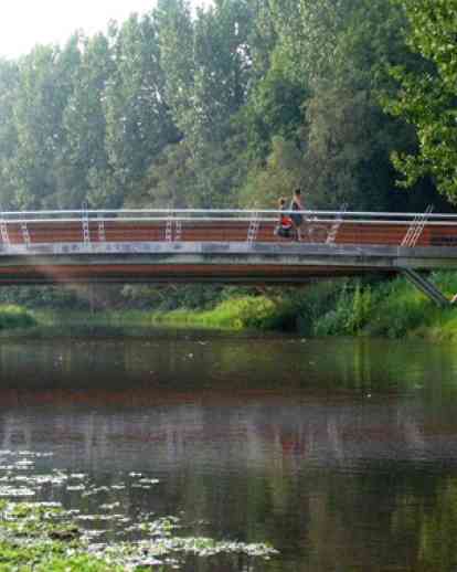 多梅尔河上的桥梁