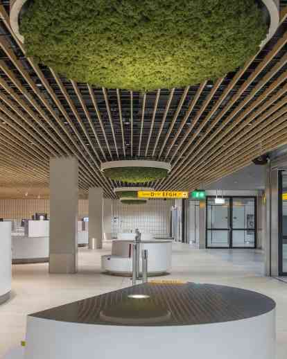 史基浦机场-实木天花板